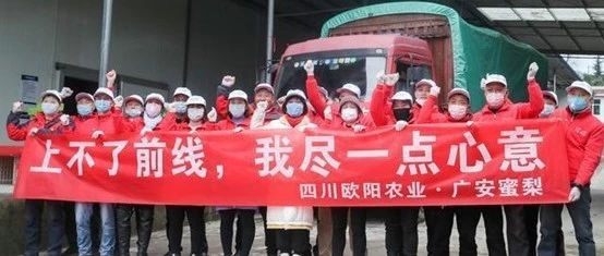 欧阳晓玲献爱心，11000件广安蜜梨捐赠“疫”线！