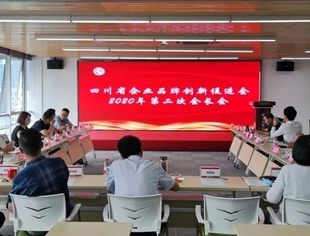 四川省企业品牌创新促进会举行2020年第二次会长会议