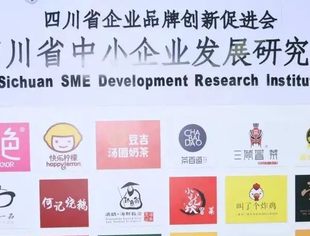 四川企业品牌创新促进会又一个分支机构-四川省中小企业发展研究所成立了