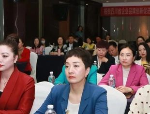 四川省企业品牌创新促进会第二届换届选举圆满举行，严俊波当选会长
