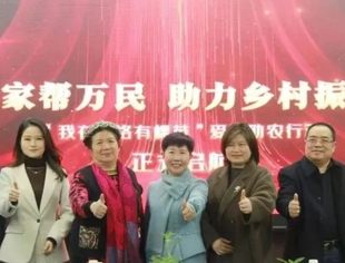 我在甘洛有棵苗