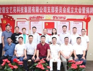 【党建引领】德宝艺苑科技集团党支部成立大会暨揭牌仪式圆满举行