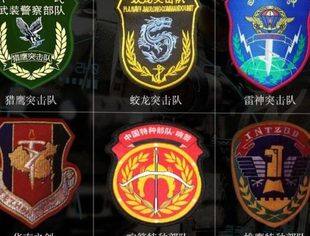蛟龙首卫：一个专注提供优秀退役特战士兵定制服务的综合平台