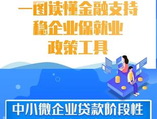 一图读懂金融支持稳企业保就业政策工具