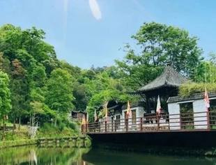 开园啦！百花开，燕归来，皇帝洞景区与你相约春深处！