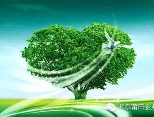 【公益慈善】关于为莆田籍急性淋巴细胞白血病患儿黄一凌捐款的倡议书