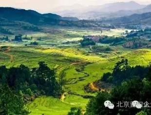 【信息资讯】首届中国候鸟旅居县口碑榜在深圳发布