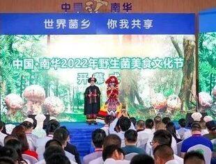 商会动态 | 云南省温州商会应邀参加中国·南华2022年野生菌美食文化节