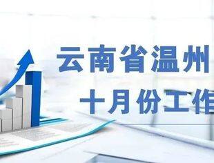 云南省温州商会十月份工作月报
