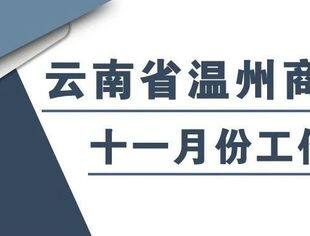 商会动态 | 云南省温州商会十一月份工作月报