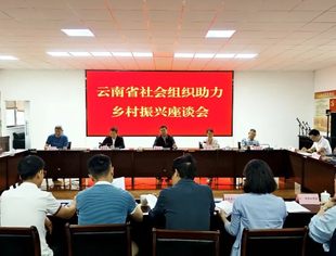 商会动态 | 云南省温州商会应邀参加云南省社会组织助力乡村振兴座谈会
