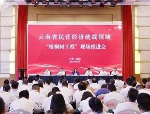 商会动态 | 云南省民营经济统战领域“梧桐树工程”现场推进会在曲靖召开 云南省温州商会会长高仁财参加会议