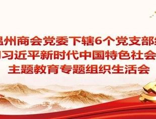 商会党建 | 云南省温州商会党委下辖6个党支部组织召开学习贯彻习近平新时代中国特色社会主义思想主题教育专题组织生活会