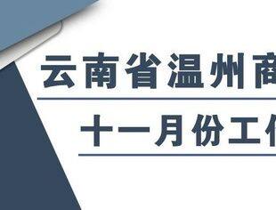 商会动态 | 云南省温州商会十一月份工作月报