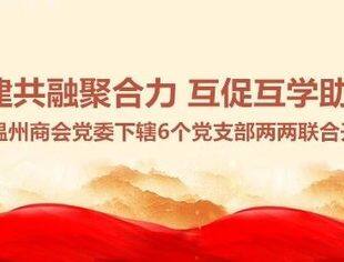 商会党建 | “共建共融聚合力 互促互学助发展”——云南省温州商会党委下辖6个党支部两两联合开展共建活动