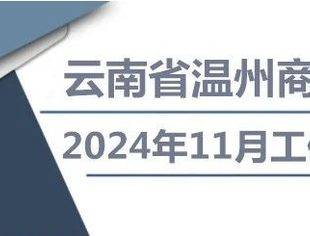 云南省温州商会2024年11月工作月报