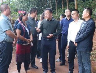 商会要闻 |云南省温州商会深入孟连县调研咖啡产业，助力乡村振兴