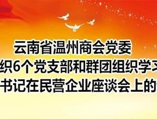 商会党建 | 云南省温州商会党委组织6个党支部和群团组织学习习近平总书记在民营企业座谈会上的讲话精神
