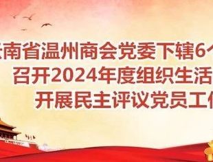 商会党建 |云南省温州商会党委下辖6个党支部召开2024年度组织生活会并开展民主评议党员工作