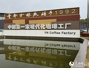 云南咖啡：从“出山”走向“出圈”