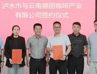 商会要闻| 云南省温州商会与泸水市携手共绘“精品咖啡”蓝图