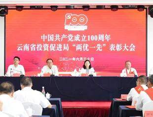 学党史 出实效 获表彰|云南省温州商会党委党建工作再上新台阶
