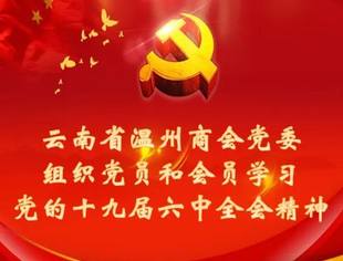 商会党建 | 云南省温州商会党委组织党员和会员学习党的十九届六中全会精神