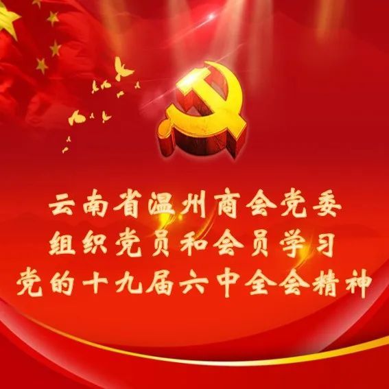 商会党建 | 云南省温州商会党委组织党员和会员学习党的十九届六中全会精神