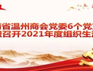 商会党建 | 云南省温州商会党委6个党支部组织召开2021年度组织生活会