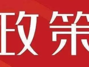 建设更美哈尔滨，政府在行动