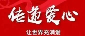 天灾无情 人间有义——哈尔滨各区县抗击灾情进行时