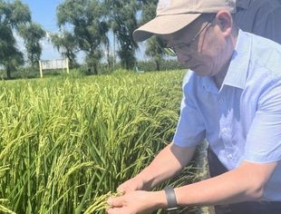 大美龙江种业冲刺破解农业“卡脖子”难题
