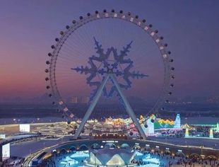 这些人可以免费游哈尔滨冰雪大世界