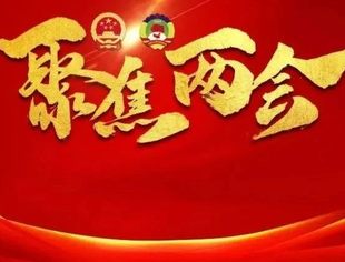 学习领会政府工作报告体会摘录
