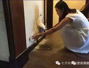 哈尔滨业主花100多万买的精装房子，墙上竟然长满蘑菇！