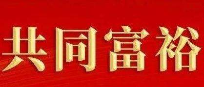 商会应在共同富裕中做到“四个提倡”
