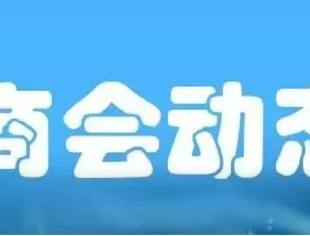 会员动态