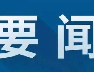 政府动态