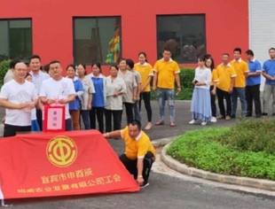 申酉辰救灾进行时