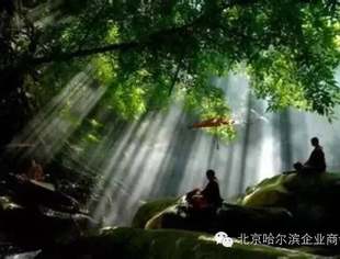 中国最大污泥处理项目招标疑云：“萝卜招标”还是“一视同仁”？