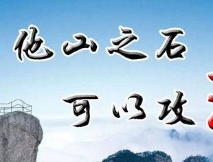 他山之石