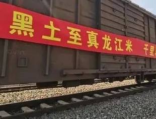 黑龙江倾情守“沪”