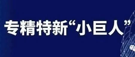 这个省专精特新“小巨人”数量居全国第一 | 附浙江省专精特新奖励政策汇总