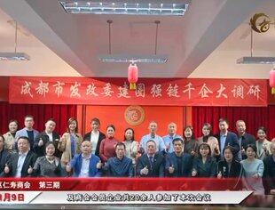 成都市“建圈强链千企大调研”座谈会视频记录