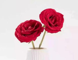 北京烟台企业商会祝女企业家们节日快乐！