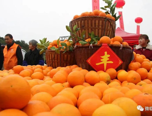 【助力家乡】特色农品（一）常德九区县特色农业产品推荐