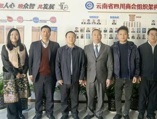 四川省工商联杜君良副主席莅临商会调研