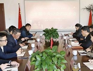 云南省四川商会党支部开展2025年1月主题党日活动