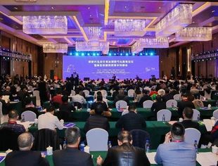 特别报道丨兰春会长应邀出席“新时代生态文明治理现代化高峰论坛暨绿色发展项目资本对接会”