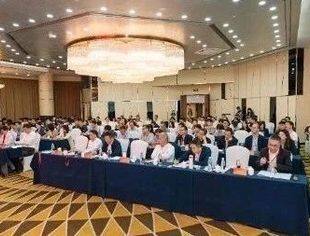 特别报道丨我会会长陈作涛先生应邀参加中国战略管理学会第八届年会并做主题演讲
